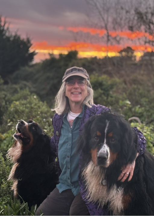 Cindy Cohn with her 2 Bernese Mountain Dogs at sunset