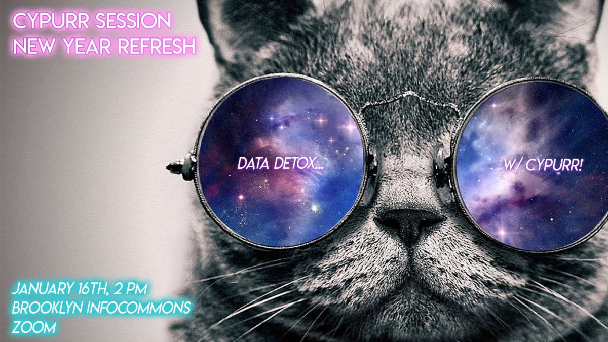 cat with sunglasses with the text 'data detox'