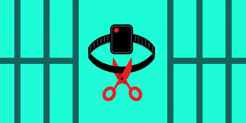 Prison Ankle Bracelet