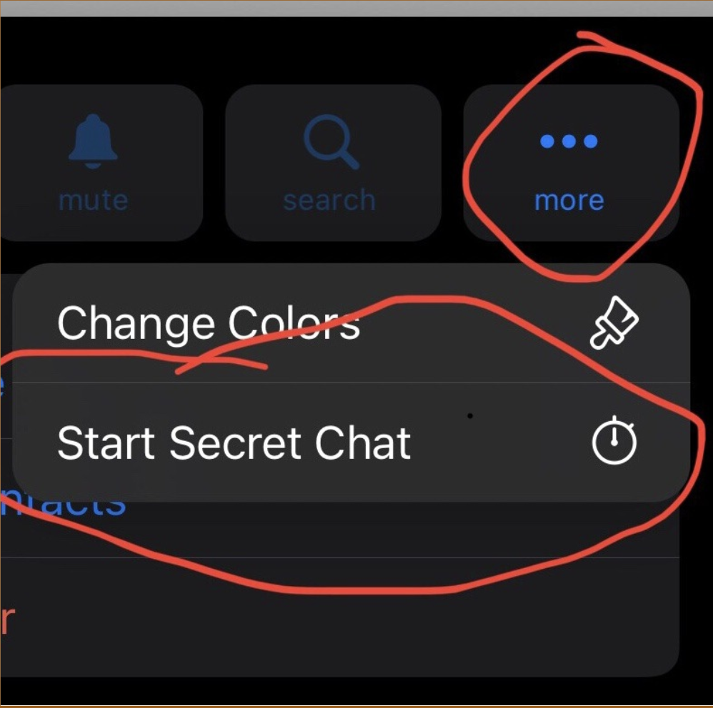 On their profile page click the three dots and then “start secret chat.” AN image from Telegram. The "start secret chat" menu is highlighted.